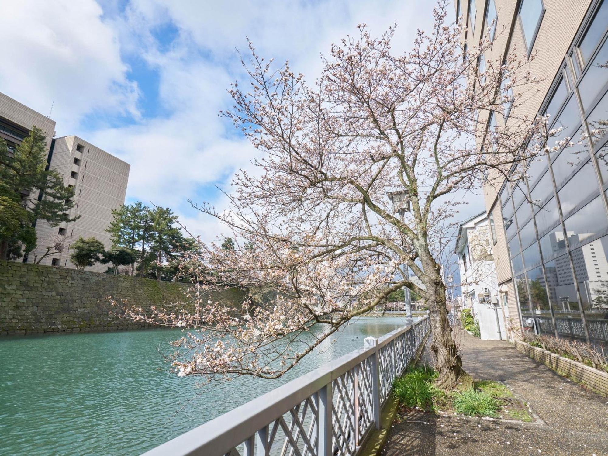 Hotel Fukui Castle - Vacation Stay 58696V المظهر الخارجي الصورة