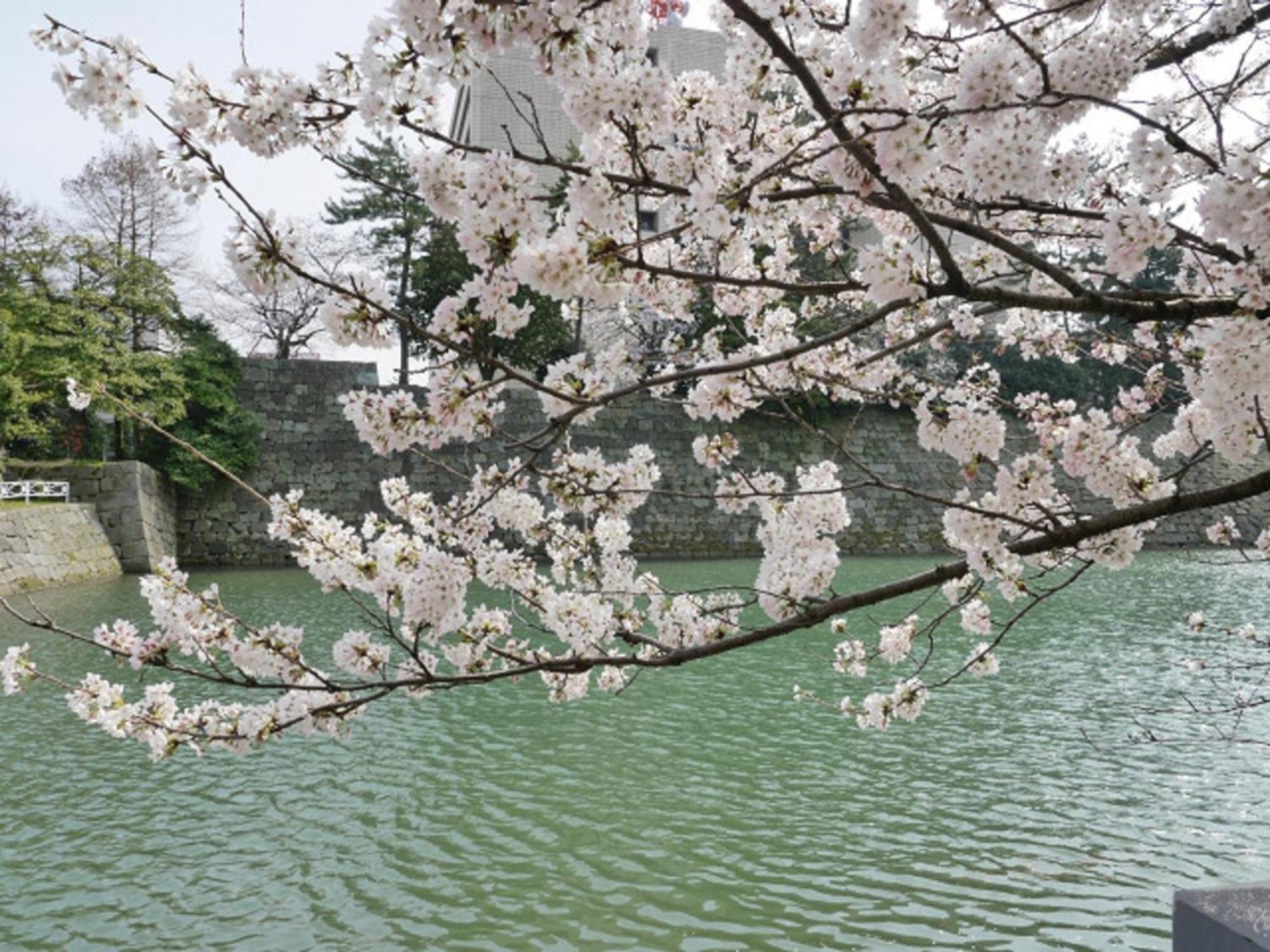 Hotel Fukui Castle - Vacation Stay 58696V المظهر الخارجي الصورة