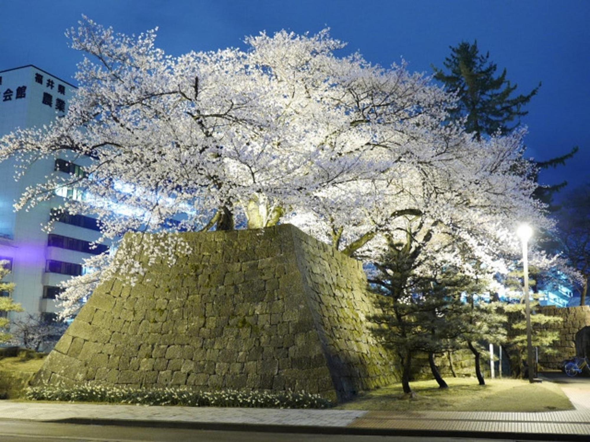 Hotel Fukui Castle - Vacation Stay 58696V المظهر الخارجي الصورة