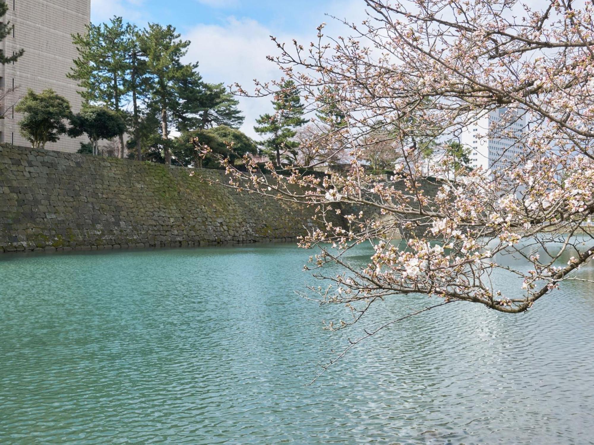 Hotel Fukui Castle - Vacation Stay 58696V المظهر الخارجي الصورة